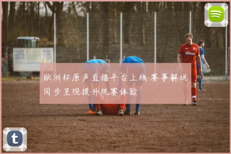 欧洲杯原声直播平台上线 赛事解说同步呈现提升观赛体验
